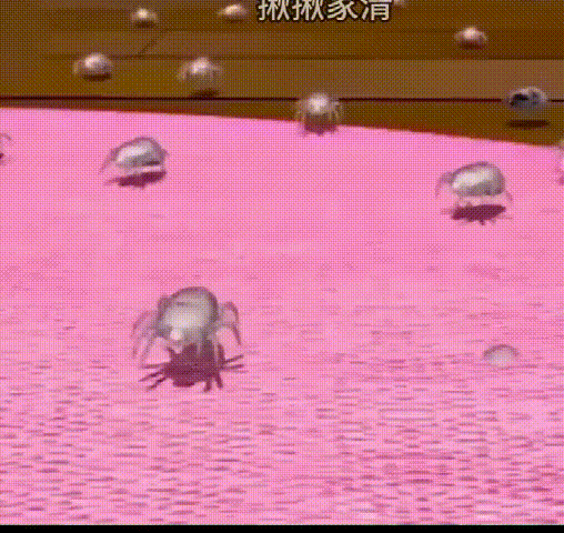 1755041020510082.gif